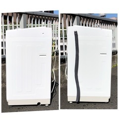 6ヶ月保証付 ニトリ 全自動洗濯機 2019年製 6 0kg 売買されたオークション情報 落札价格 【au payマーケット】の商品情報をアーカイブ公開