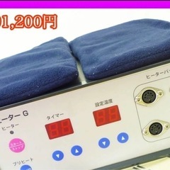 定価691,200円 テラプラナヒーターG 家庭用温熱 ヒーター...