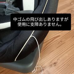 リーマン製チャイルドシートの画像