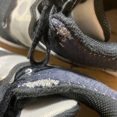 バッシュ２６センチ
の画像