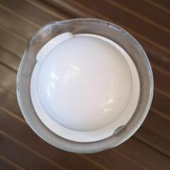 【大幅値下げ！】🍋レモン柄 ガラスポットの画像