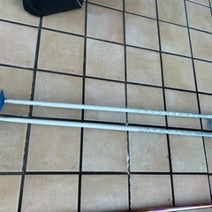 スキーストック  子供用