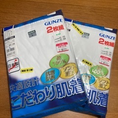 【紳士】GUNZE2枚組長ズボン下（前あき）