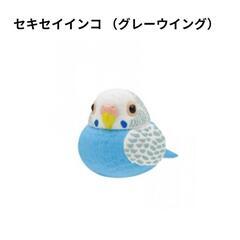 ふっくら福福インコ譲って下さい