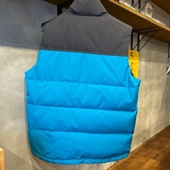 ダウンベストの画像