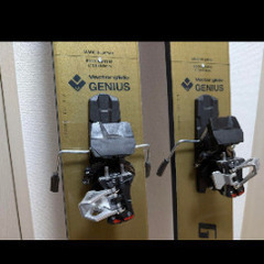 vector glide genius 193+radical stの画像