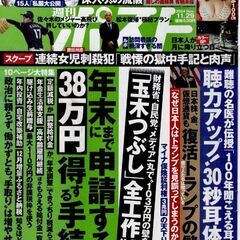 週刊ポスト 2024年11月29日号