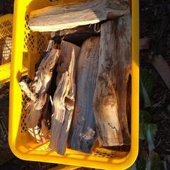 薪　針葉樹（松を除く）乾燥済　5箱