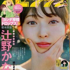 週刊ビッグコミックスピリッツ 2024年51号『辻野かなみ fr...
