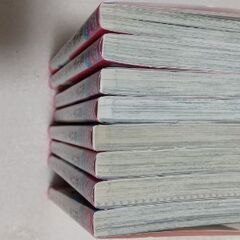 真代家こんぷれっくすの画像