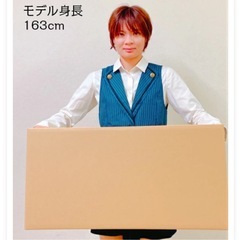 160サイズ　ダンボール(720x415x410) 引っ越し 宅配 段ボール ダンボール箱 引越し 引越し用 通販 宅配　収納　梱包　の画像