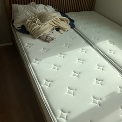 アクタス　クィーン　ベット　