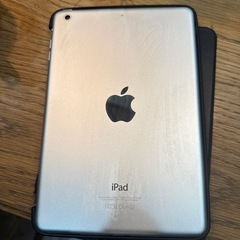 iPad mini2