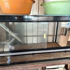 NISSO 爬虫類ゲージ