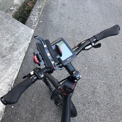 BESV  PSA1の画像