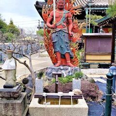大阪の真言宗寺院にて常勤していただける僧侶の募集の画像