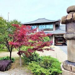 大阪の真言宗寺院にて常勤していただける僧侶の募集の画像