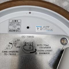 天井ライト　ミニクリプトン球２個使用の画像