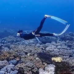 海友募集🥹