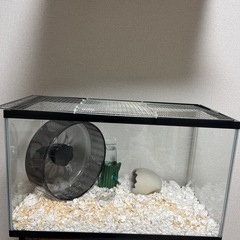 水槽 ハムスターケージ 