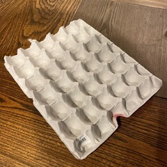 コオロギ飼育用の卵ケース