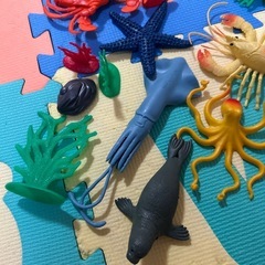 海の生き物　おもちゃの画像