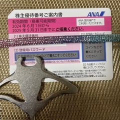 ANA 株主優待券