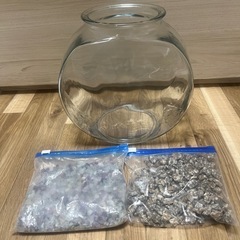 太鼓鉢　中サイズ　水槽　3L アクアリウム