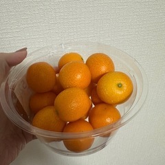完熟きんかん