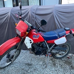 カワサキ　KLR250 実働　乗って帰れます