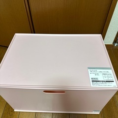 【お取引決定】ニトリNインボックスフタ付き