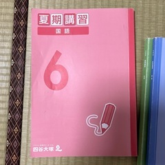四谷小6夏期講習 　