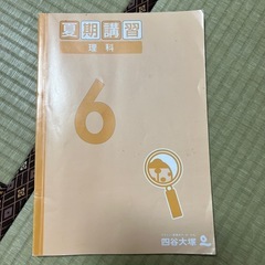 四谷小6夏期講習の画像