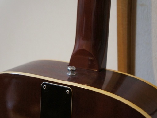 アコースティックギター Aria F-120 アコギ Aria アリア