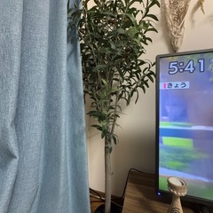 オリーブの木 人工植物 観葉植物 