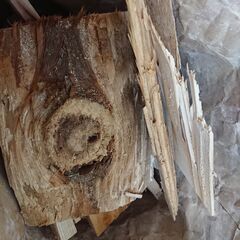 ⑬　第4期用意分　段ボール箱に入れた薪　約６㎏　焚き火　キャンプ　アウトドア　グランピング　薪ストーブ等の焚き付けに 　那須で薪の画像