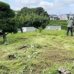草刈依頼を請負います。の画像