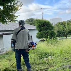 草刈依頼を請負います。