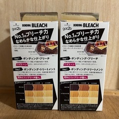 ブリーチ剤　新品未開封　2個セットの画像