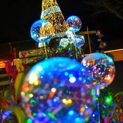 📸写真を撮るのが好き💞な方 - メンバー募集