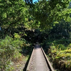 お散歩仲間ほしいなぁ