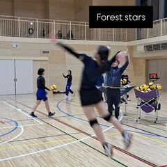 青森地域バレーボールクラブForest starsの画像