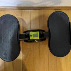 サイドステッパーの画像