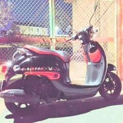 af77 ジョルノ　くまモン