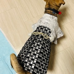 犬用の袴の画像