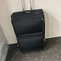 キャリーバッグの画像