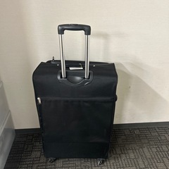 キャリーバッグの画像