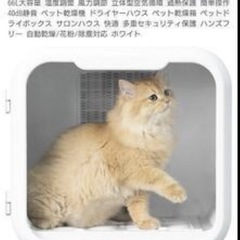ペット用品の画像
