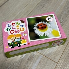 しぜんかんさつカルタ