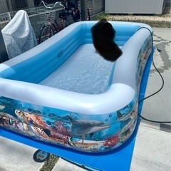 INTEX 大プールの画像